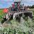 MSR Plant Technology, CC +Kalk - EUROPANYHED